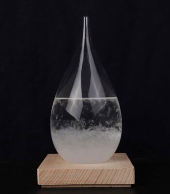 Vase en verre transparent contenant un liquide clair, posé sur un socle en bois naturel, mettant en valeur un design élégant et minimaliste.