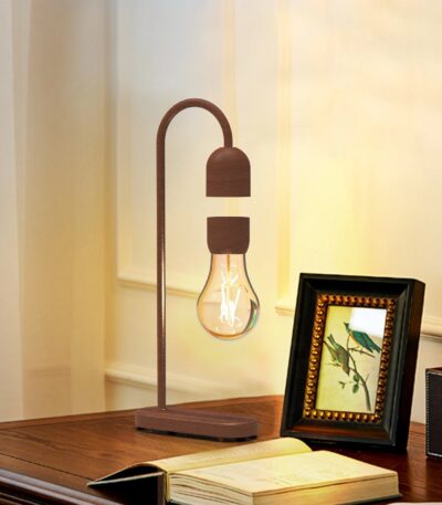 Lampe de bureau design en forme d'ampoule avec support en bois naturel, idéale pour une décoration scientifique ou moderne.