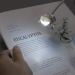 Lampe LED éclairant une feuille d'eucalyptus sur un document.