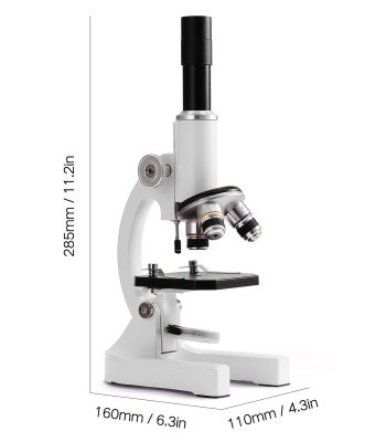 Microscope de laboratoire blanc avec objectif noir, idéal pour l'observation scientifique, avec dimensions précises pour un usage en recherche ou éducation.