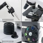 Pointeur de téléphone portable, éclairage LED supérieur et inférieur, roue de filtres colorés, et support pour smartphone, idéal pour l'observation scientifique et l'éducation.