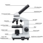 Microscope avec objectif, lampe et accessoires pour l'observation scientifique. Parfait pour la recherche, l'éducation et la collection d'objets scientifiques.
