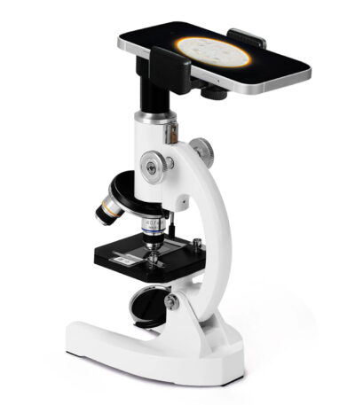 Microscope de laboratoire avec support pour smartphone, idéal pour l'observation scientifique et l'enseignement, permettant de capturer des images via un téléphone mobile.