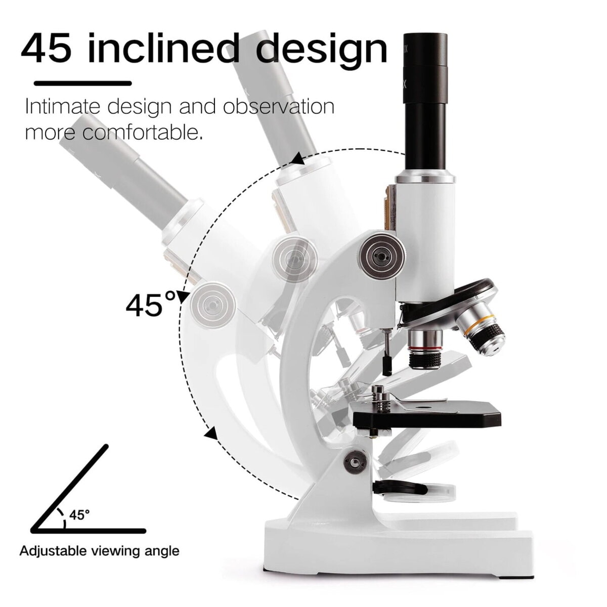 Microscope avec design inclinable à 45°, offrant un confort optimal pour l'observation prolongée. Parfait pour les laboratoires et la recherche scientifique.