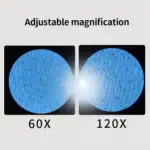 Loupe de microscope avec zoom réglable 60x et 120x pour l'observation précise de détails microscopiques. Parfaite pour la science, la biologie ou la collection de petits objets.