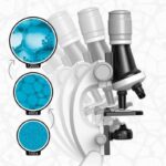 Microscope de laboratoire avec objectifs à différents grossissements (100x, 400x, 1200x) pour l'observation scientifique précise.