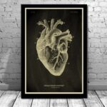 Panneau d'anatomie du cœur humain en style vintage, illustrant les différentes parties du cœur avec détails précis. Parfait pour la décoration scientifique ou éducative.