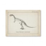 Illustration d'un cératosaure Nasicornis, un dinosaure préhistorique, montrant son squelette détaillé dans un style vintage.
