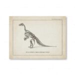 Illustration d'un squelette de dinosaure Iguanodon Bernissartensis, montrant ses ossements fossilisés en position debout.