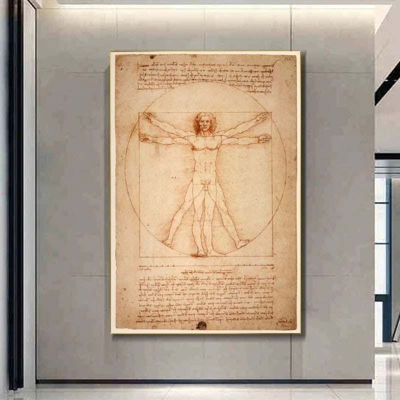 Illustration de l'Homme de Vitruve de Léonard de Vinci, montrant les proportions idéales du corps humain dans un style de dessin ancien, exposée dans un musée moderne.