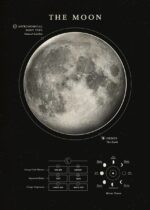 Lune, satellite naturel de la Terre, illustrée dans une infographie détaillée avec ses phases et caractéristiques.