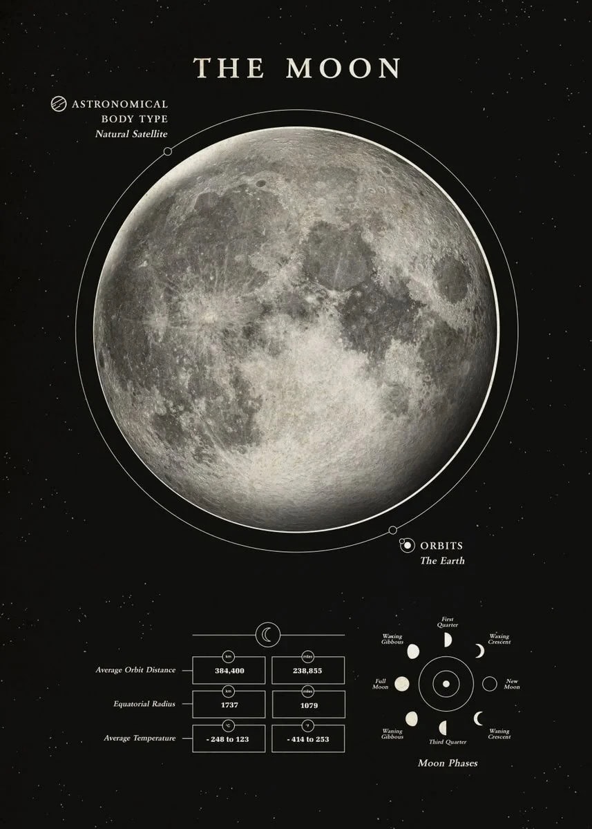 Lune, satellite naturel de la Terre, illustrée dans une infographie détaillée avec ses phases et caractéristiques.
