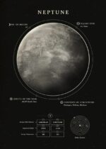 NEPTUNE, Planète Gazeuse.