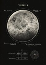 Vénus, planète terrestre du système solaire, illustrée avec ses caractéristiques principales, sa composition atmosphérique et ses dimensions.