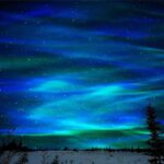 Vue spectaculaire d'une aurore boréale illuminant un ciel étoilé au-dessus d'un paysage enneigé, avec silhouettes d'arbres en premier plan.