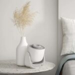 Vase blanc avec plantes séchées et diffuseur d'huiles essentielles sur une table en pierre, décoration minimaliste et élégante pour intérieur moderne.