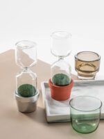 Vases en verre transparent avec plantes succulentes dans des pots en céramique et en verre, décorations modernes pour la maison ou le bureau.