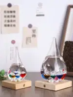 Pots de laboratoire en verre contenant des liquides colorés, placés sur des socles en bois, décoratifs et éducatifs, parfaits pour la décoration scientifique ou l'apprentissage.