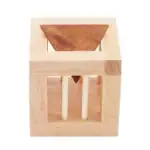 Objet scientifique en bois, cube avec pyramide intérieure, parfait pour décoration ou expérience éducative.