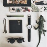Collection d'accessoires scientifiques comprenant une montre, des lunettes, un carnet, un stylo, un bracelet et une figurine de lézard, parfaits pour la décoration de bureau ou d'étagère.