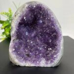 Améthyste géode violette avec cristaux brillants, exposée sur une surface noire avec un fond blanc et des plantes vertes en arrière-plan.
