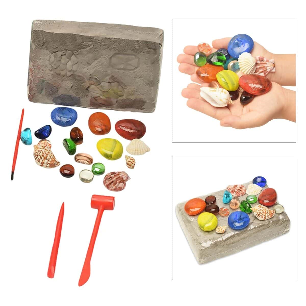 Pépite de coquillages colorés avec outils de nettoyage pour collection ou décoration scientifique.