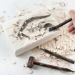 Fossile de dinosaure en plâtre avec pinceau, exposé sur une surface poussiéreuse, illustrant la paléontologie et la découverte scientifique.