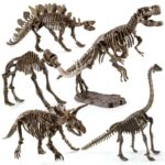 Représentation artistique de fossiles de dinosaures, montrant plusieurs squelettes de différentes espèces, illustrant la diversité des reptiles préhistoriques.