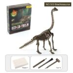 Reproduction de squelette de Tyrannosaure Rex pour activité éducative et ludique.