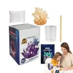 Ensemble de cristaux de croissance pour expériences éducatives et scientifiques à la maison ou en classe. Inclut tout le nécessaire pour observer la formation de cristaux.