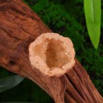 Géode en quartz rose avec cristaux brillants, posée sur un bois rustique.