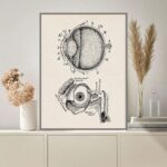 Panneau illustrant un œil humain et ses structures anatomiques.
