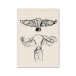 Illustration scientifique ancienne montrant des insectes Hymenoptera et Diptera, détails anatomiques précis, style vintage, dessin en noir et blanc.
