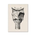 Illustration anatomique détaillée de la thyroïde et des glandes endocrines, montrant leur position et leur structure interne pour une compréhension scientifique.