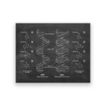 Wissenschaftliches DNS-Poster – Bild 3