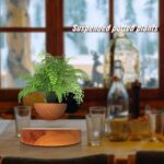 Plantes suspendues en pot pour décoration intérieure, apportant une touche naturelle et fraîche à votre espace de vie ou de travail. Idéal pour créer une ambiance zen et verdoyante dans votre ma.