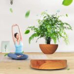 Femme méditant en position de yoga à côté d'un arbre en pot avec bulles d'oxygène, symbolisant la nature et le bien-être.