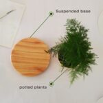 Panneau illustrant un plateau suspendu en bois et des plantes en pot, parfait pour une décoration d'intérieur écologique et moderne.