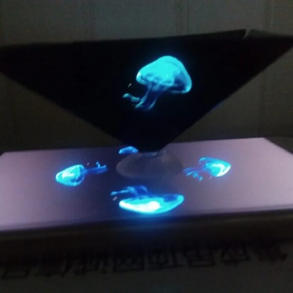 Méduse fluorescente en suspension dans une vitrine noire, illuminée par une lumière bleue, créant un effet visuel captivant et mystérieux.