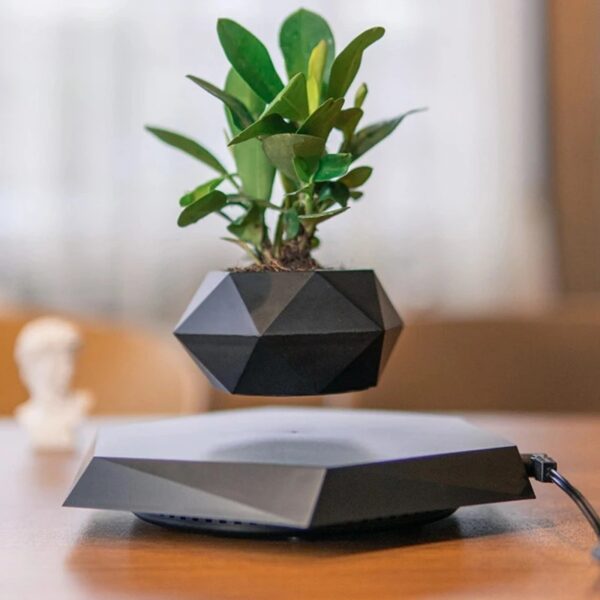 Plante verte en suspension dans un pot géométrique noir, posée sur une surface en bois, avec un fond flou.