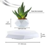 Succulente décorative dans un pot moderne en forme géométrique, idéale pour la décoration intérieure ou de bureau, apportant une touche naturelle et contemporaine.