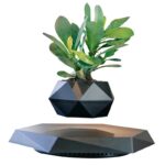Plante verte en pot géométrique noir, décoration moderne pour intérieur ou extérieur, apportant une touche naturelle et élégante à votre espace.