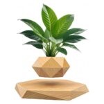 Balcon ou intérieur, décoration moderne avec plante verte.