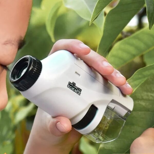 Jeune enfant utilisant un vérificateur de plantes portatif pour examiner les feuilles d’un arbre, dans un environnement naturel verdoyant.