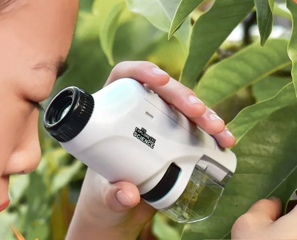 Jeune enfant utilisant un vérificateur de plantes portatif pour examiner les feuilles d’un arbre, dans un environnement naturel verdoyant.