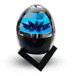 Vase scientifique en forme d'œuf avec plantes aquatiques flottantes, design moderne et élégant pour décoration intérieure ou bureau.