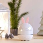 Baladeur d'aromathérapie en forme de lapin blanc avec diffuseur d'huiles essentielles.