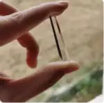 Pipette de laboratoire en verre avec échelle graduée, utilisée pour mesurer avec précision de petites quantités de liquides en sciences.