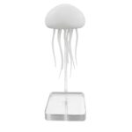 Modèle de poulpe en plastique blanc utilisé comme décoration ou objet scientifique, monté sur un support transparent pour exposition ou collection.