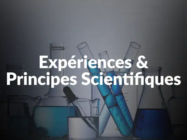 Illustration de tubes à essai avec liquides colorés pour représenter des expériences scientifiques.